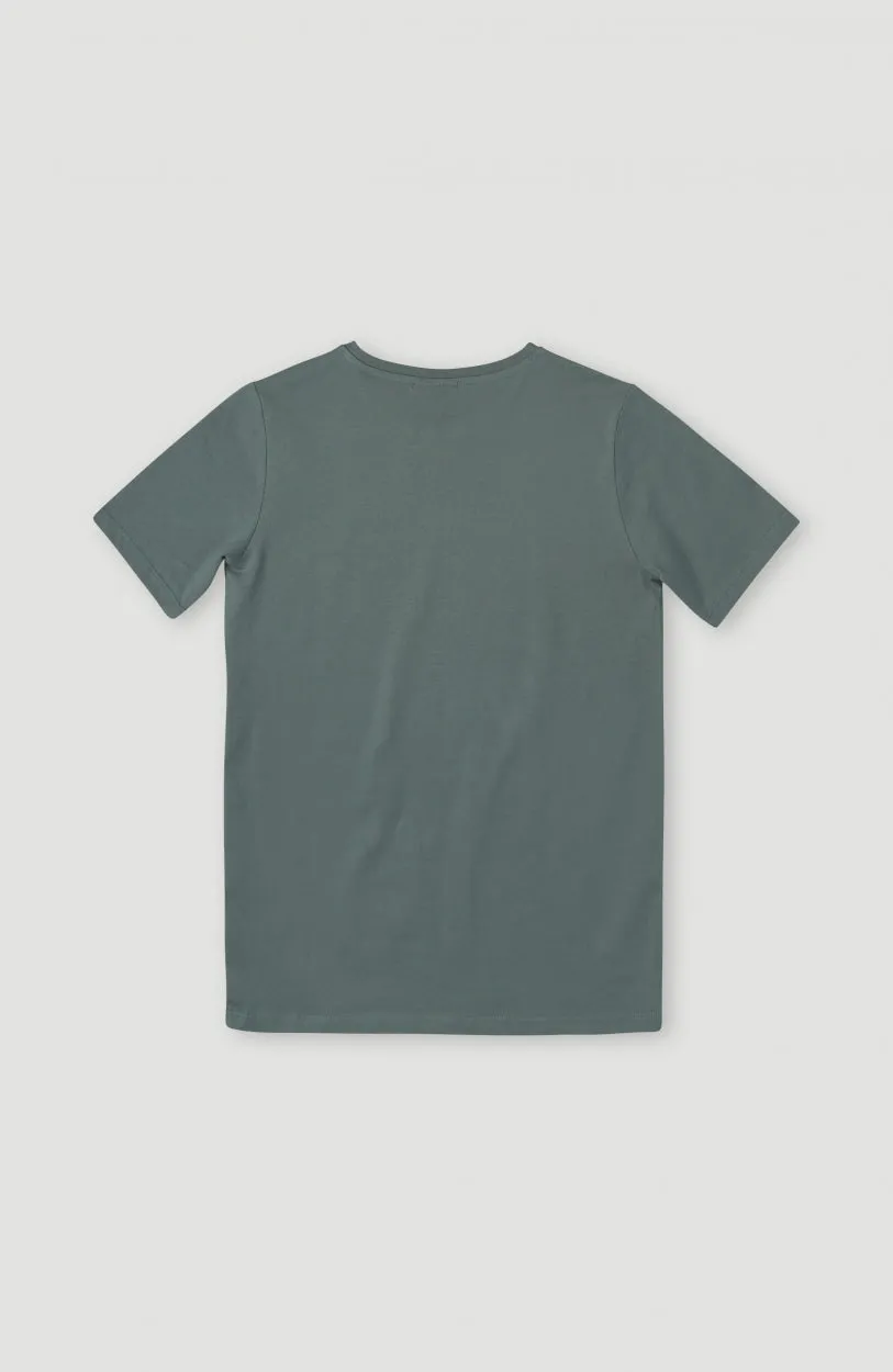 Circle Surfer T-Shirt | Balsam Green